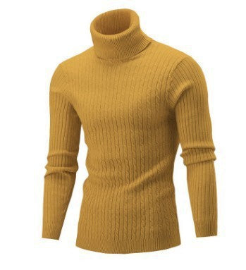 Turtleneck Long Sleeve Sweater