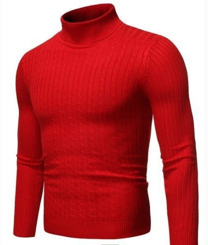 Turtleneck Long Sleeve Sweater